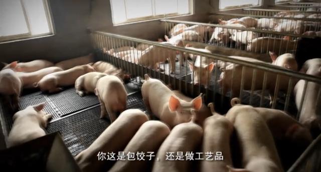 手工摊起家，她把水饺做成一个60亿的品牌